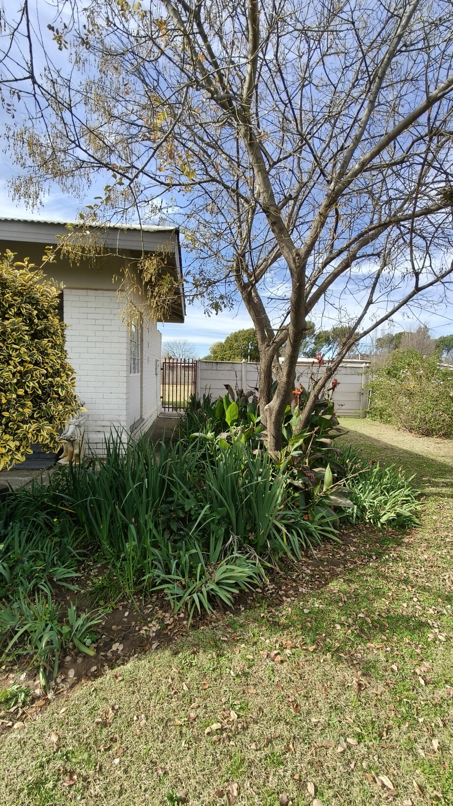 3 Bedroom Property for Sale in Hennenman Free State